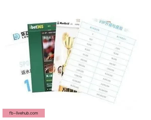 世界杯竞猜高赔率平台推荐，让你轻松赢取巨额奖金体验